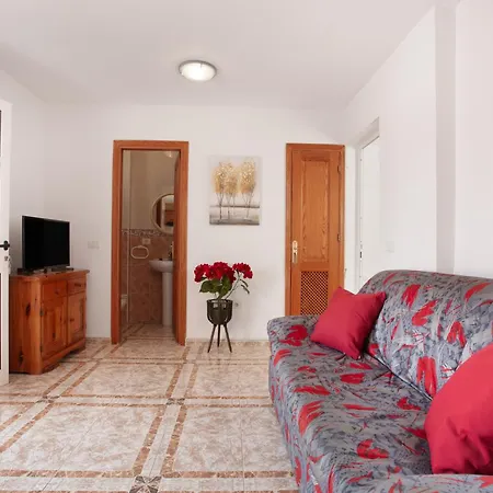 Apartment Atico La Estrella